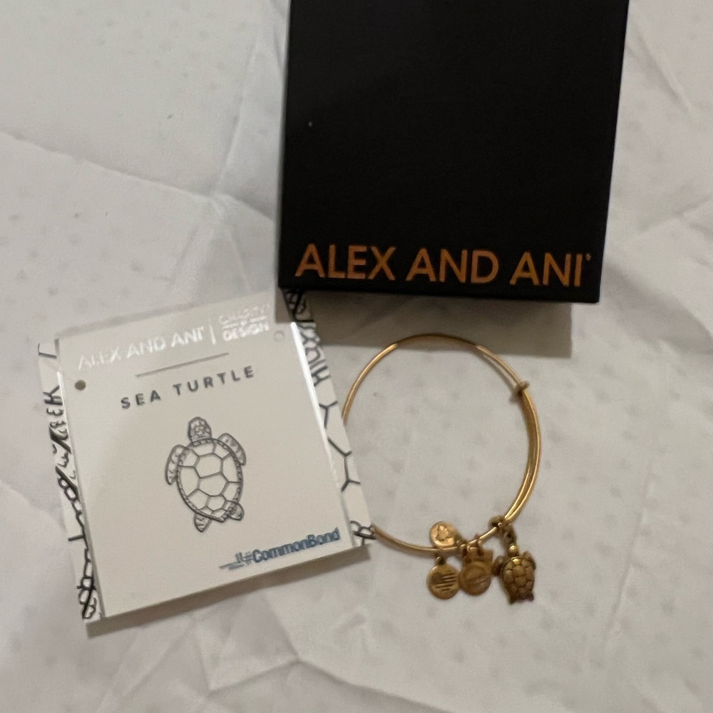 Alex and Ani Turtle Bangle
